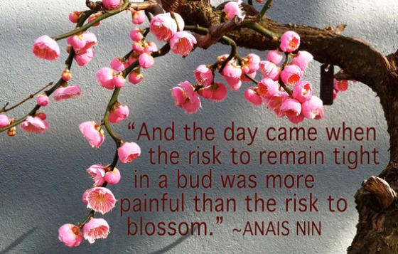 Blossom quote